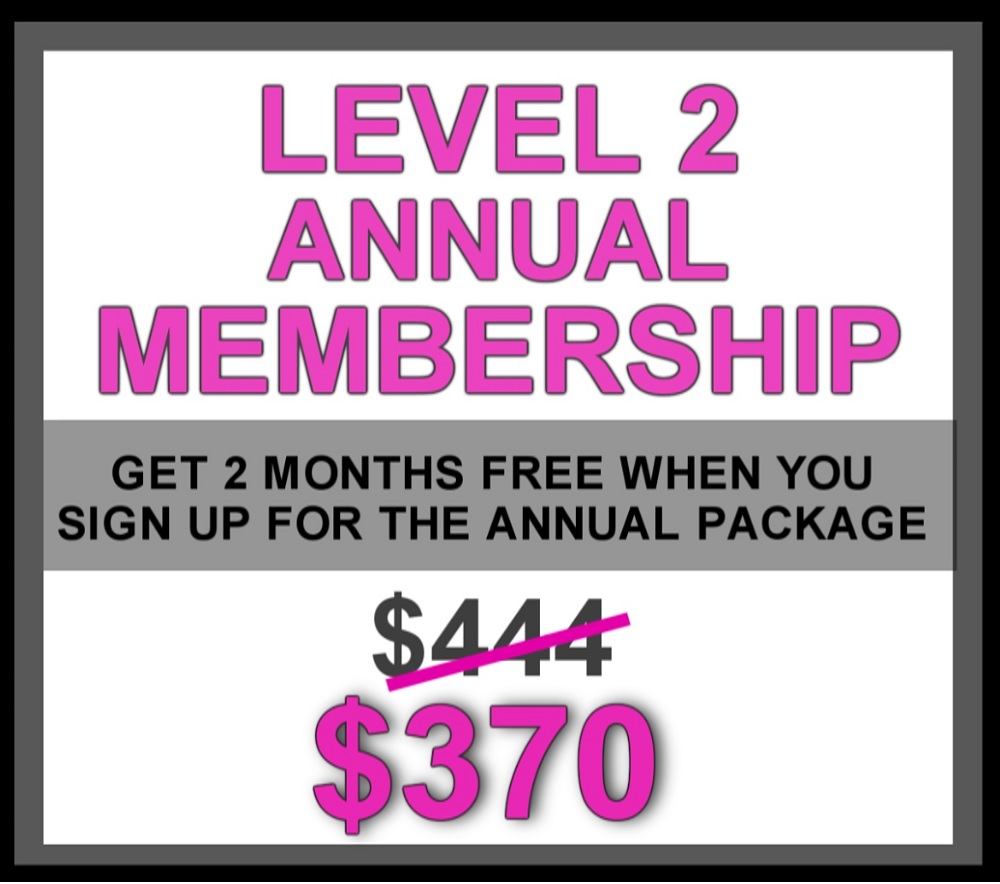 law of attraction premium training
